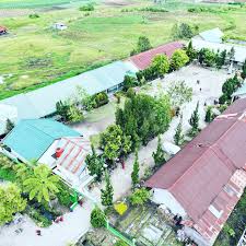 SD N 12 Hariarapintu Kec.Harian